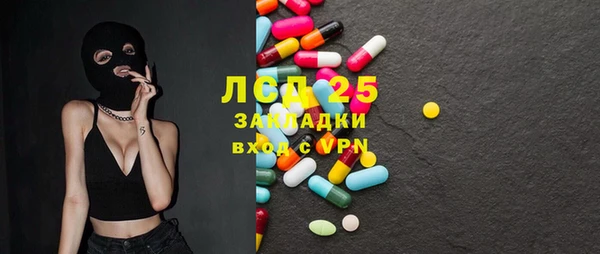 PSILOCYBIN Няндома